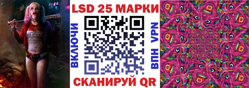 darknet как зайти  Шенкурск  Марки N-bome 1,5мг  наркошоп 