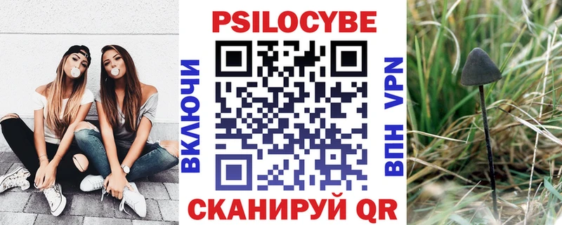 kraken ссылки  Шенкурск  Галлюциногенные грибы GOLDEN TEACHER  где продают наркотики 